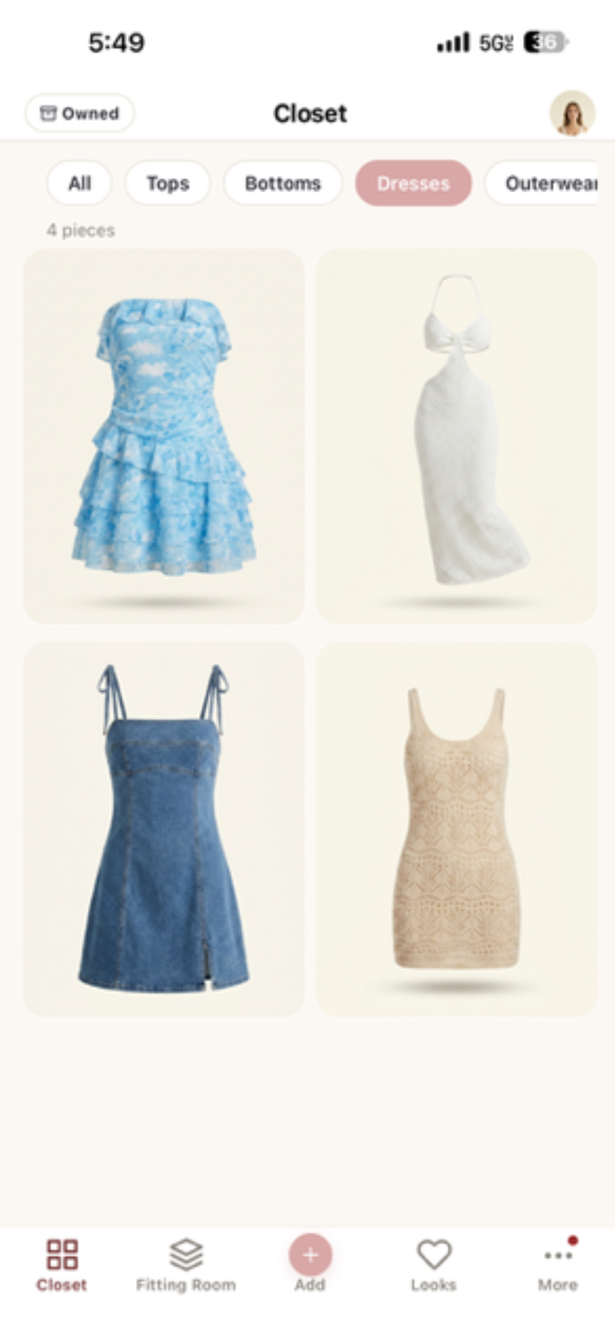 Closet view filtered to dresses
